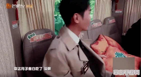 17c吃瓜爆料黑料视频，网友热议背后真相与明星私生活大曝光！