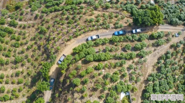 日产精品的一、二、三级品类—— 芒果免费下载与超高推荐指标