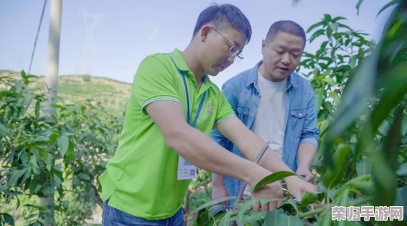 日产精品的一、二、三级品类—— 芒果免费下载与超高推荐指标