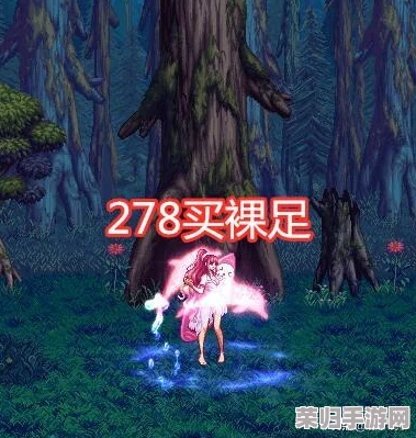 地下城与勇士：揭秘独特宠物——冲浪柯基，全面解析其炫酷属性与能力亮点