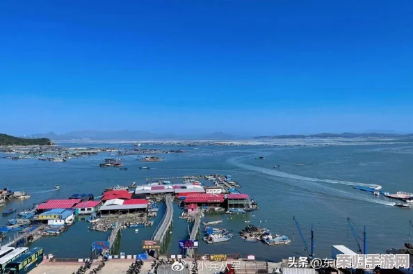 《和平精英》绿洲世界垂钓秘籍：掌握水域奥秘，解锁高效钓鱼技巧与稀有鱼种收集指南