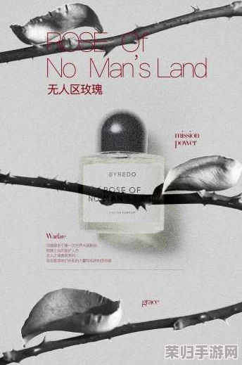 无人区玫瑰jeanmiss：一场关于孤独与美丽的深刻反思，值得每位读者细细品味
