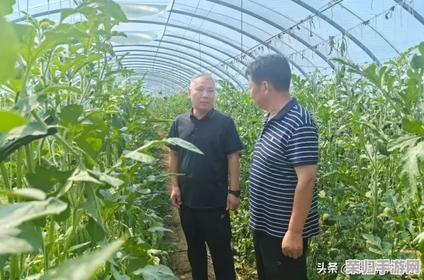精产国品一二三产品区别大吗知乎？这些产品到底有何不同值得探讨评价？