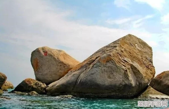 海角 这个绝对能搜到热门词汇大揭秘