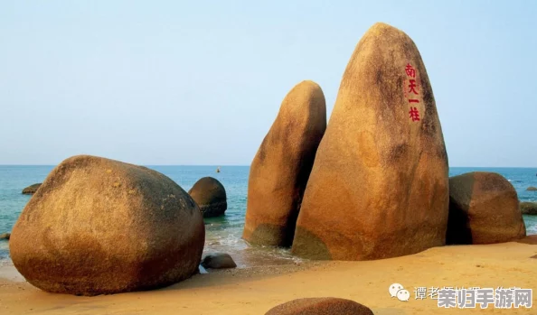 海角 这个绝对能搜到热门词汇大揭秘