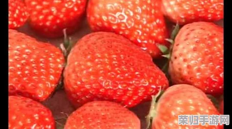 草莓视频下载入口：最新热门影视资源免费观看，高清画质无广告快速下载