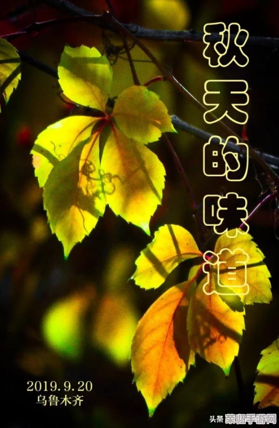 【独家首发】花雨旋律梦幻公测盛大开启,音乐盛宴邀您共赴时间之旅! 【独家首发】花雨旋律梦幻公测盛大开启,音乐盛宴邀您共赴时间之旅!