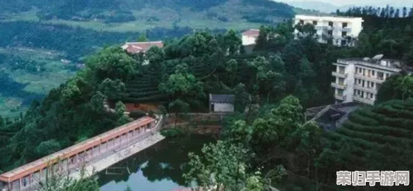 《林间秘境营造术》：匠心打造小径，解锁小世界深度探索指南与创意建造攻略
