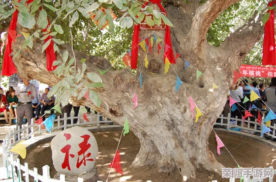 中国新疆19D：感受神秘大漠与多元文化交融的奇妙之旅