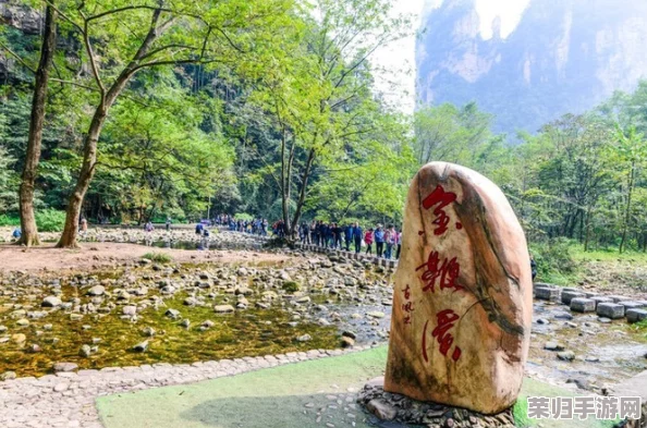 浓密的森林小溪在流淌水，感受大自然的宁静与美丽，心灵的洗涤之旅即将开始