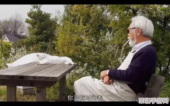 海角换妻：在浪漫与挑战中寻找爱的真谛，重塑人生的旅程