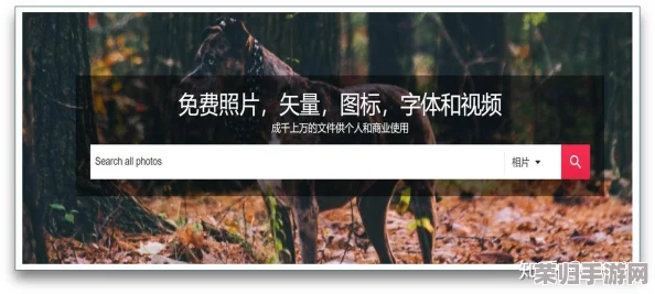 91免费看视频：绝对让你大开眼界，不容错过的精彩内容