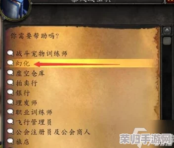 魔兽世界国服玩家必备：高效隐藏头盔技巧与个性化外观设置指南