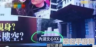 罗志祥5G开网站入口：全新体验引发热议，粉丝期待值飙升！