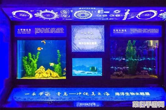梦幻西游：高效捕捉珍稀宝宝策略全揭秘，独家技巧助你轻松收入囊中