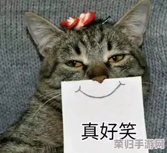 猫咪最新地域网名是什么懂的都懂，趣味十足又引人入胜，让人忍不住想要了解更多！