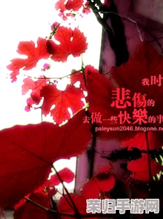 周生辰要了时宜细致描写微博，热议爱情故事与青春回忆的交织瞬间