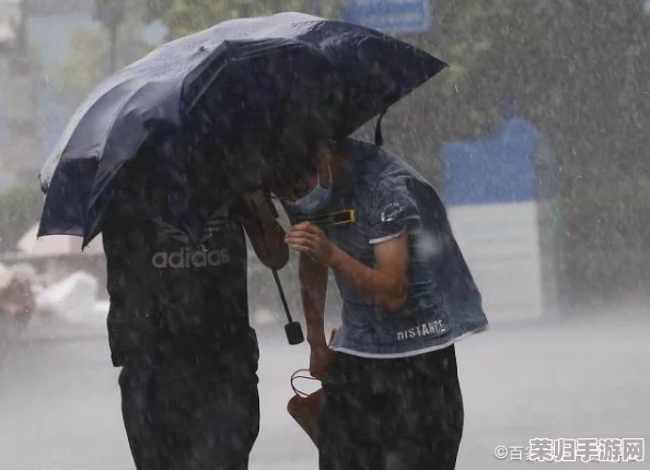 出差遇到暴风雨，属下850的表现引发网友热议与高分评价