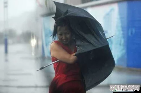 出差遇到暴风雨，属下850的表现引发网友热议与高分评价