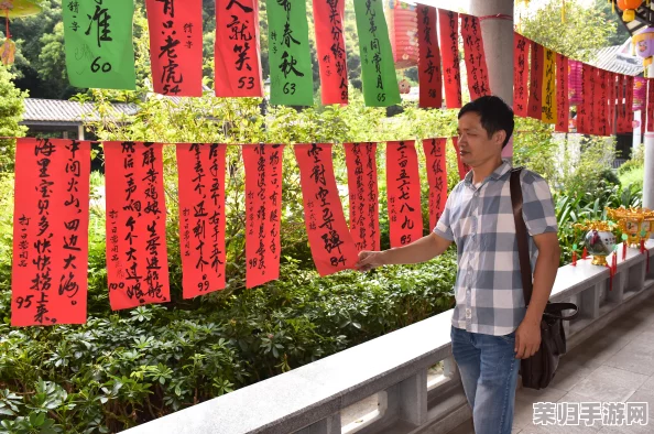 创意中秋夜：编织休闲时光，巧解自制灯谜集与详尽答案攻略全览