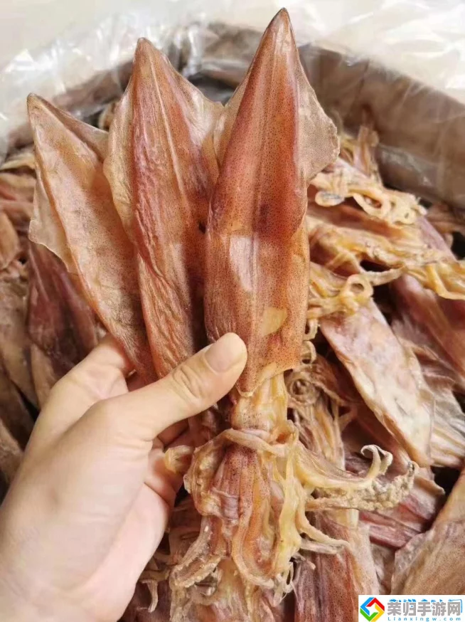 “鱿鱼b2577进入，网友热评：这款产品真是颠覆了我的使用体验，让我爱不释手！”