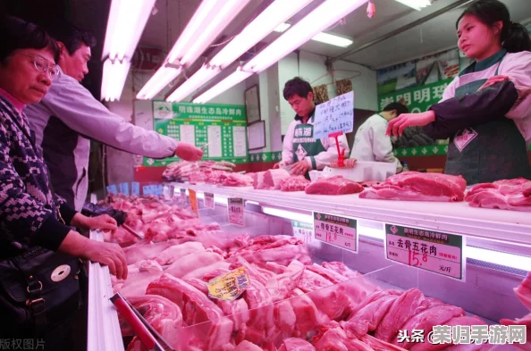 精品乱子：如何在当今市场中找到独特的消费体验与创新产品