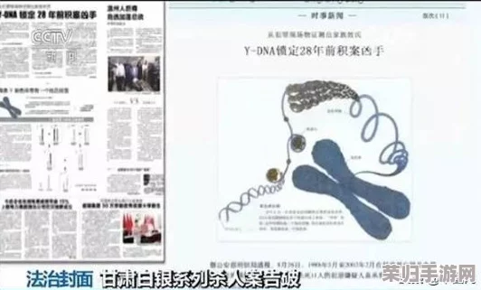 缅北杀人网站:揭开网络黑暗交易背后的真相与社会影响,警惕虚拟世界的危险陷阱 缅北杀人网站:揭开网络黑暗交易背后的真相与社会影响,警惕虚拟世界的危险陷阱