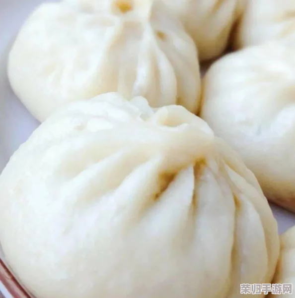 解锁爸爸面馆精髓：升星菜包面食谱秘籍，打造家庭餐桌上的星级美味佳肴