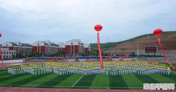 大地资源影视：网友热评与高分推荐，探索不一样的视听盛宴