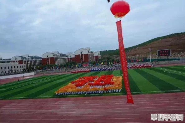 大地资源影视：网友热评与高分推荐，探索不一样的视听盛宴
