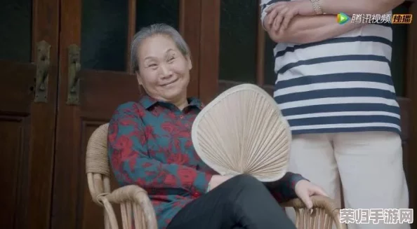 原味老太婆HD：带你领略真实生活中的温情与幽默，感受岁月的独特魅力