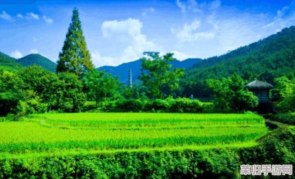 小鲜肉天台放烟花飞机，引发网友围观狂欢，火爆社交平台舌尖上的中国