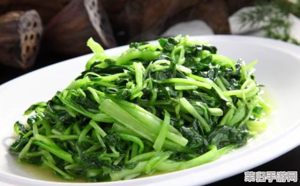大香煮2024最新版：畅享美味与健康的完美结合，带你领略新潮烹饪风尚