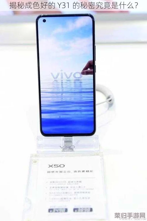 成色y31.1.1：全面评测与用户反馈，揭示其性能与使用体验的真实情况