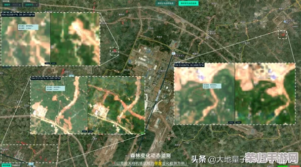 大地资源网中文第一页：丰富资源与优质内容的完美结合，值得一试！