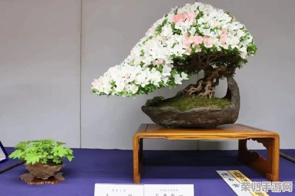 日本国内一线二线三线城市排名表：2023年最新生活质量与经济发展综合评比分析