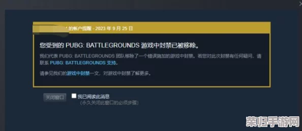 绝地求生PUBG账号误封申诉模板：详细指南，助你快速恢复游戏权益！