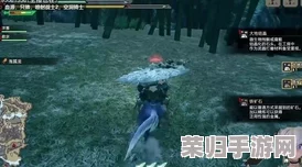 怪物猎人Rise：勇气之证高效获取策略与途径！