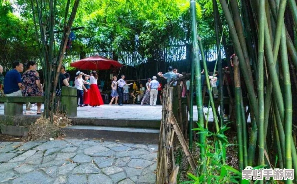 在亚洲怡春院中，体验独特的文化魅力与身心放松的完美结合
