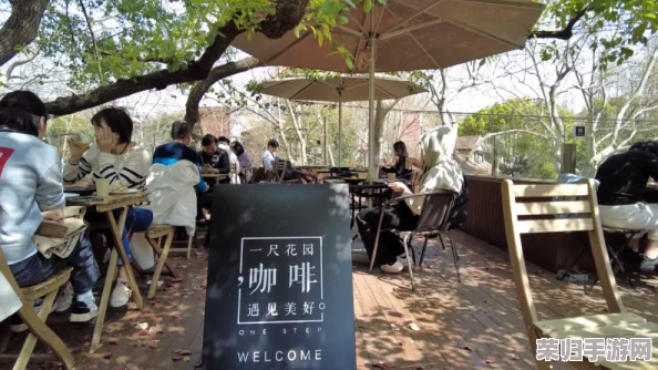 在亚洲怡春院中，体验独特的文化魅力与身心放松的完美结合