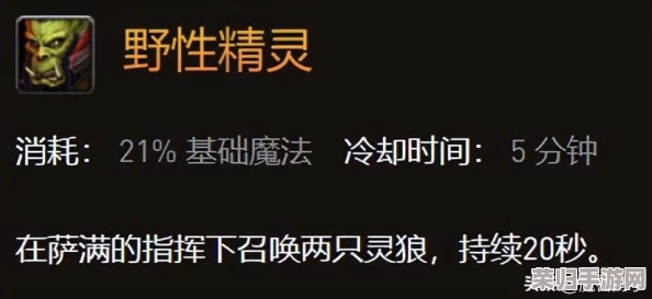 魔兽世界乌龟服深度攻略：解锁萨满火焰图腾的传奇之旅！