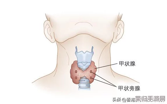 小钙蓝2024：引领时尚潮流的全新生活方式与健康理念分享