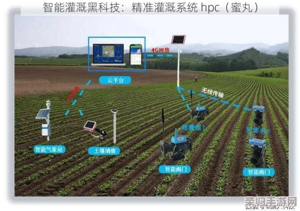 精准灌溉系统hpc(蜜丸)助力农业智能化，提升作物产量与水资源利用效率