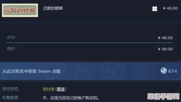 解决Steam充值页面无法显示的实用妙招与步骤