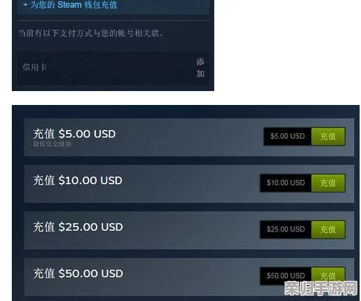 解决Steam充值页面无法显示的实用妙招与步骤 解决Steam充值页面无法显示的实用妙招与步骤