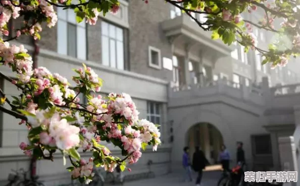 病勤楼栋1-12樱花未增减，整体景观保持稳定，吸引游客关注与赞赏