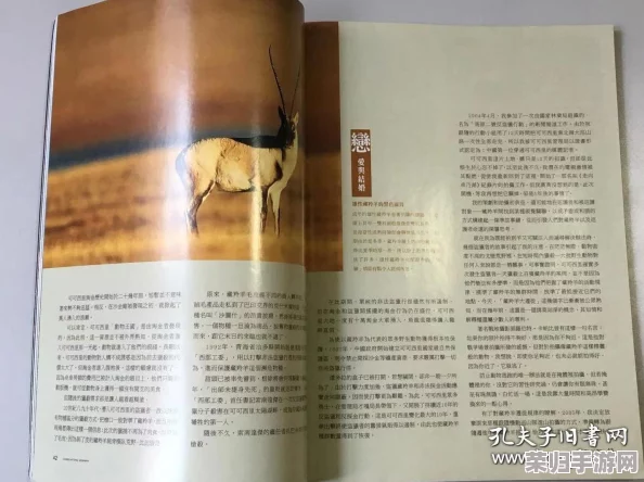 西方38大但人术：揭示西方文化中独特的礼仪与行为规范