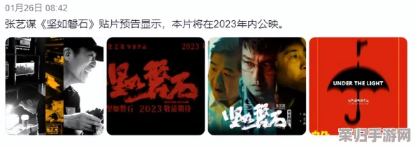 国产太黄太黄大片：用户热评引发观影热潮，背后深藏的文化反思与话题探讨