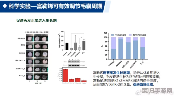 含羞草实验实验究2024：令人惊叹的科学发现和突破性成果