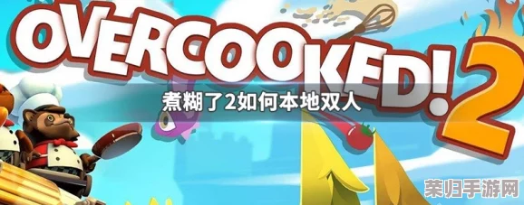 《煮糊了2》双人协作秘籍：解锁与朋友共烹美味新玩法！